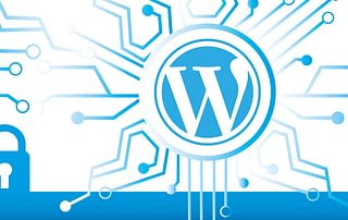 Are Your WordPress Plugins Secure?