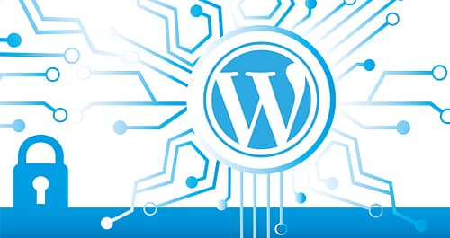 Evaluating If a WordPress Plugin Poses a Risk to Your Site’s Cyber Security
